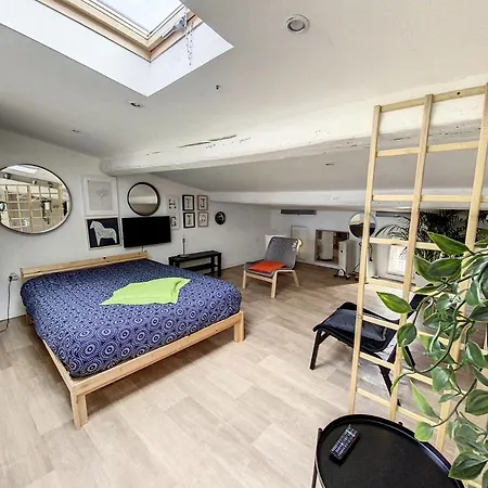 Grand St Pierre Mansarde Atypique Climatise Apartment *